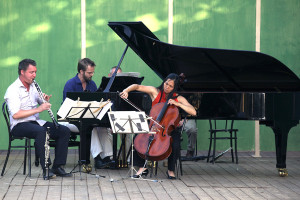 Concert - Zemlinsky Trio - Villa di Geggiano (Photo: Romain d'Ansembourg)